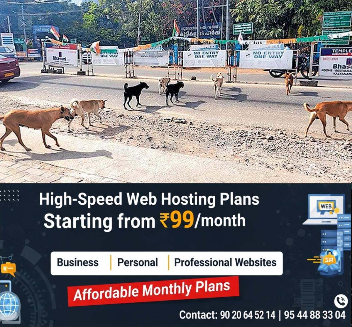 newskerala.net_1760254210_guruvayur-stary-dog
