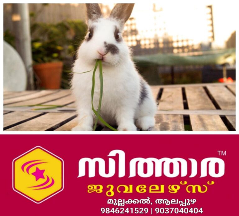 newskerala.net_1760269816_w-1280h-720format-jpgimgid-01k7c3d8v1qksd7kx31qv08pv6imgname-fotojet-2025-10-12t170740.789-176