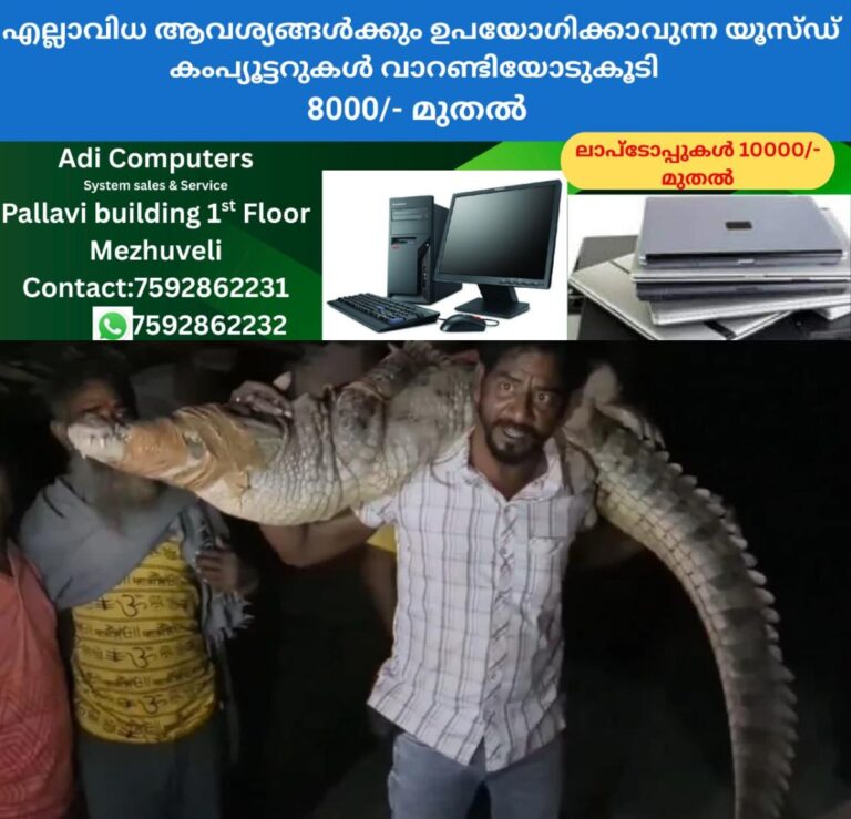 newskerala.net_1760292864_w-1280h-720format-jpgimgid-01k7cs90rh4zcwrdd8argapmynimgname-crocodile-1760292012817