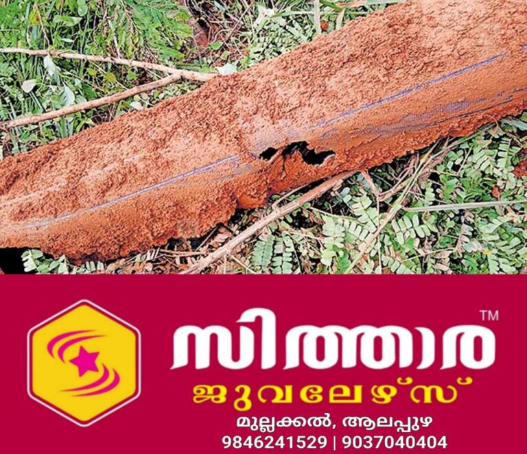 newskerala.net_1760329503_pipe-burst