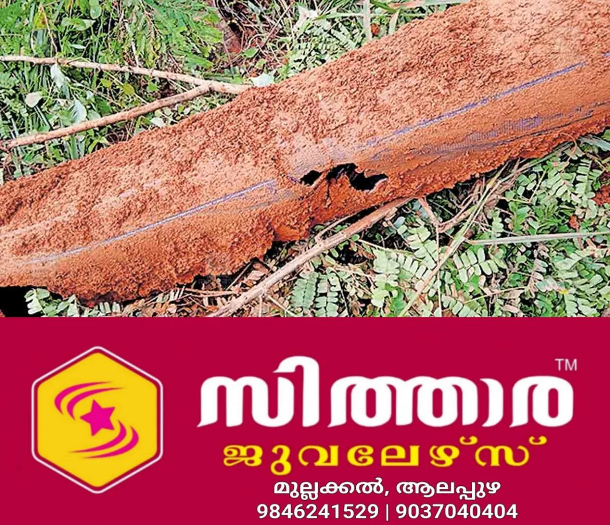 newskerala.net_1760329503_pipe-burst