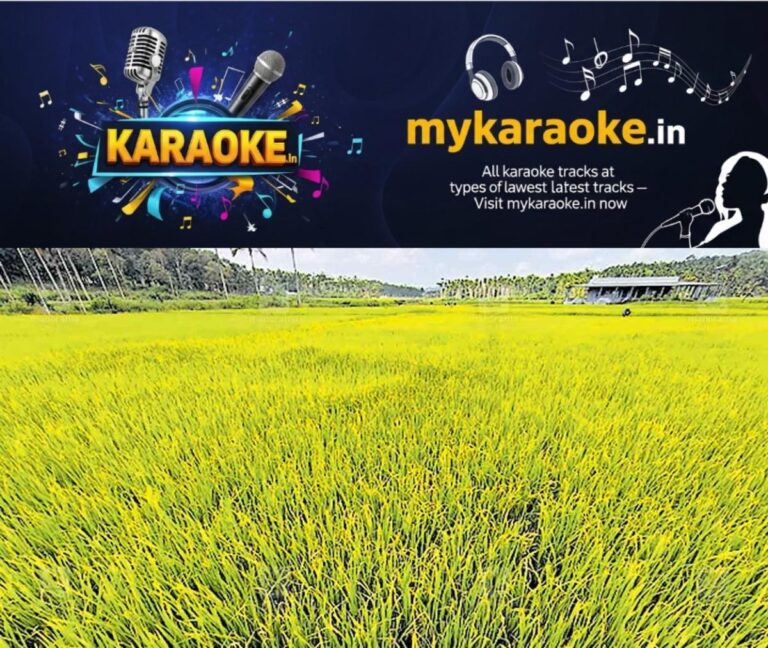 newskerala.net_1760336429_panamaram-paddyfields-1