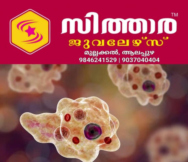 newskerala.net_1760341264_amoebic-meningoencephalitis-0507
