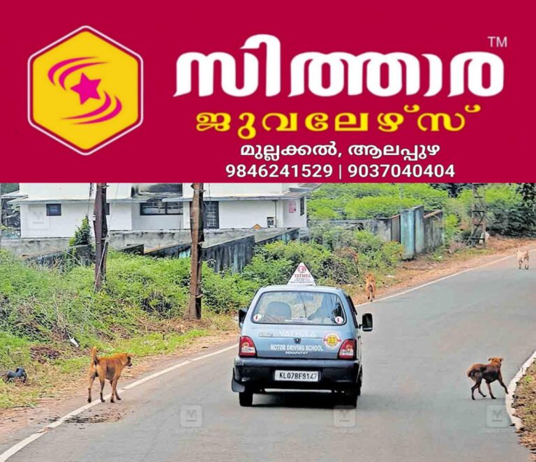 newskerala.net_1760348474_1760348316_stray-dogs