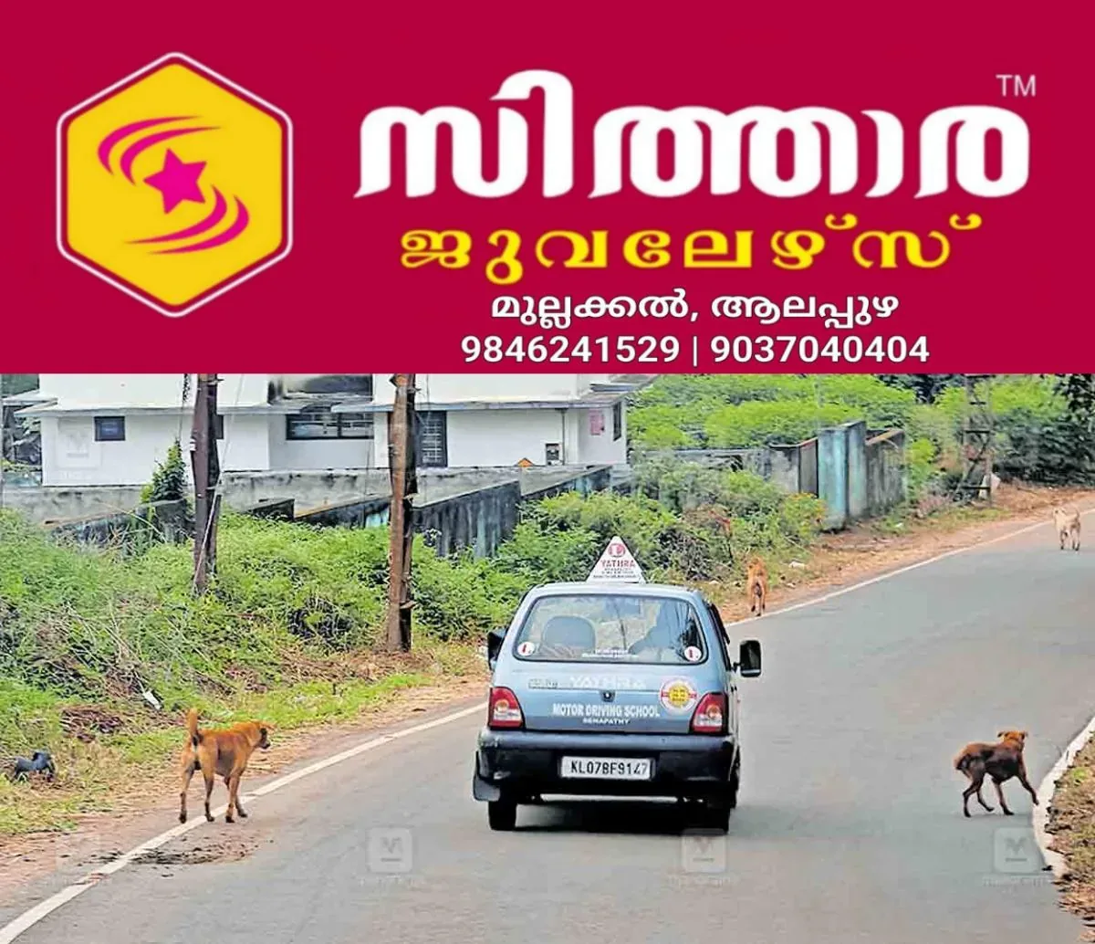 newskerala.net_1760348474_1760348316_stray-dogs