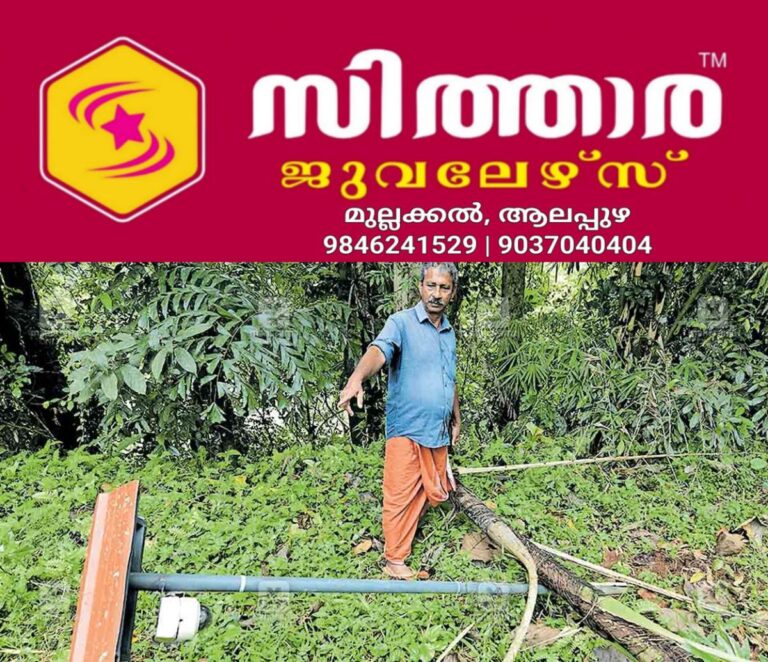 newskerala.net_1760426425_pta-ranni-wild-elephant-threat