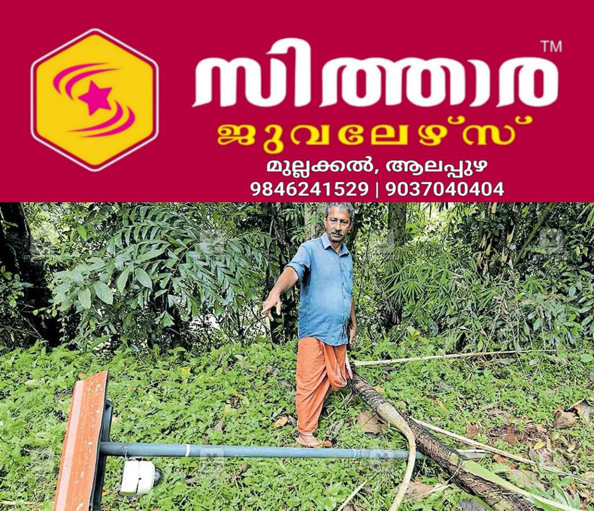 newskerala.net_1760426425_pta-ranni-wild-elephant-threat