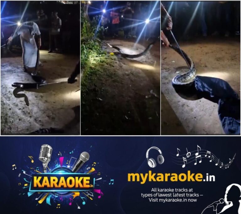 newskerala.net_1760438066_w-1280h-720format-jpgimgid-01k7h4607gbd9kw9jsxt5x682cimgname-python-caught-1760437666032