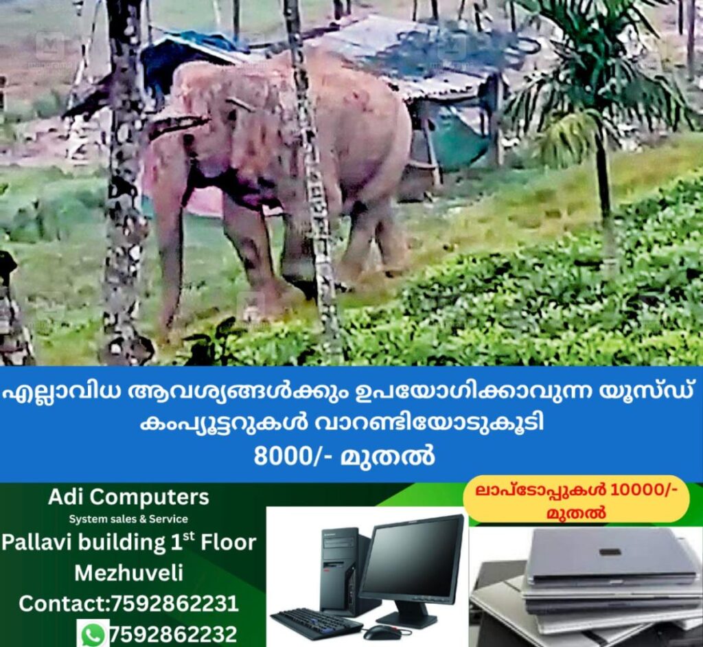 newskerala.net_1760471064_1760470948_wild-elephant