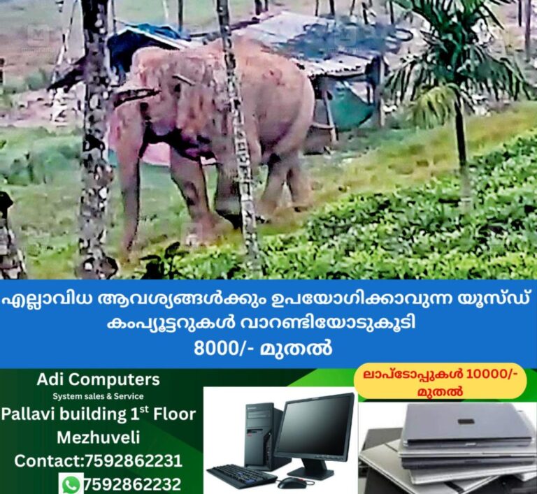 newskerala.net_1760471064_1760470948_wild-elephant