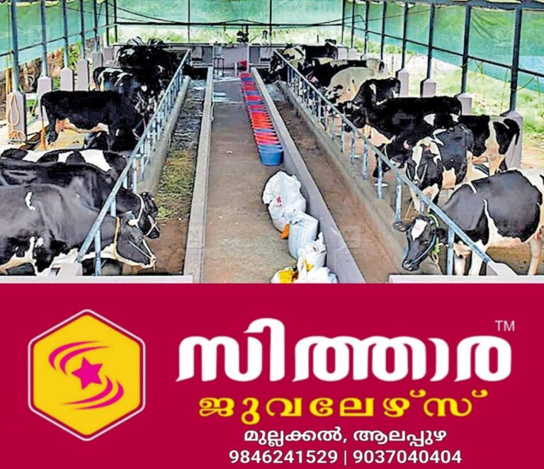 newskerala.net_1760473220_pullpally-kidaripark