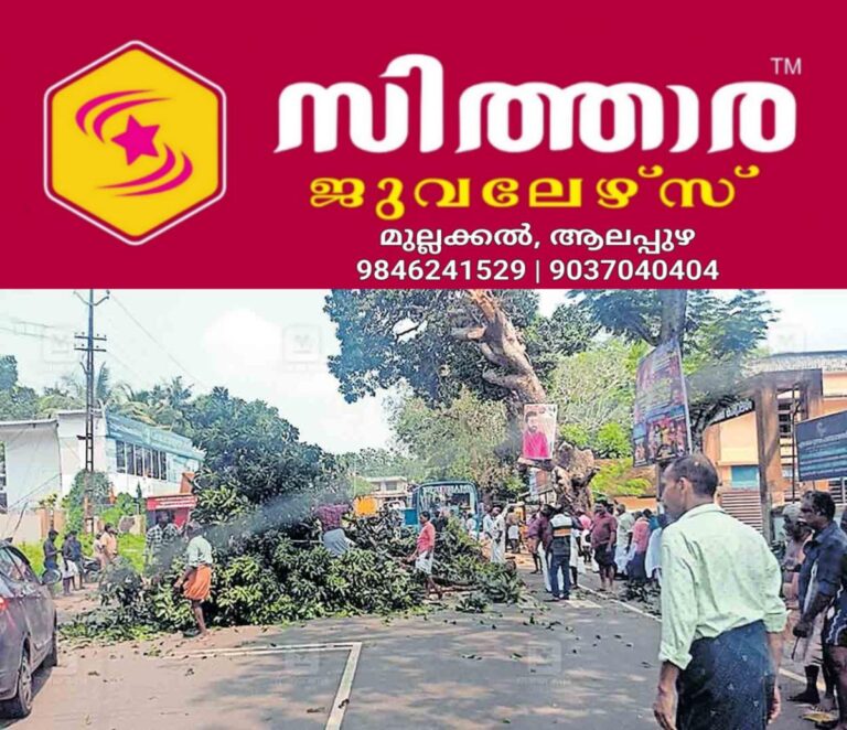 newskerala.net_1760501665_tree-fall