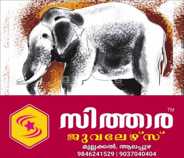 newskerala.net_1760510890_elephant-issue
