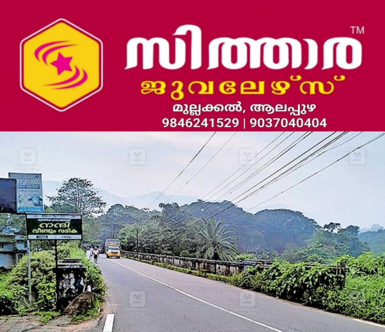 newskerala.net_1760588463_thodupuzha-puliyanmala-road-bridge