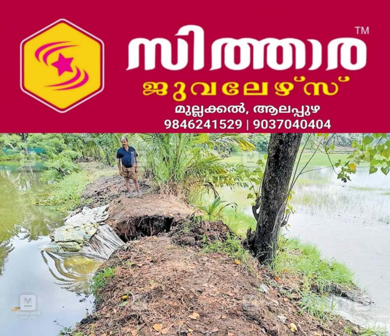 newskerala.net_1760590083_alp-pallikunn-bund