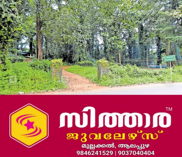 newskerala.net_1760592485_erumely-forest-land