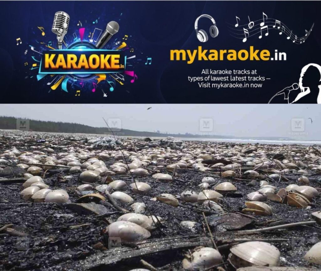 newskerala.net_1760613371_sea-shell-tvm