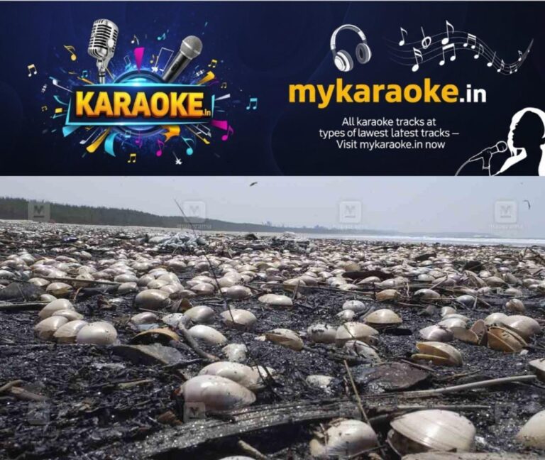 newskerala.net_1760613371_sea-shell-tvm