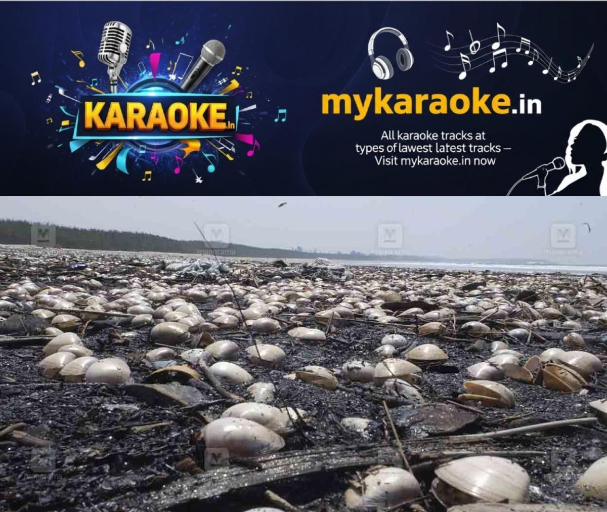 newskerala.net_1760613371_sea-shell-tvm