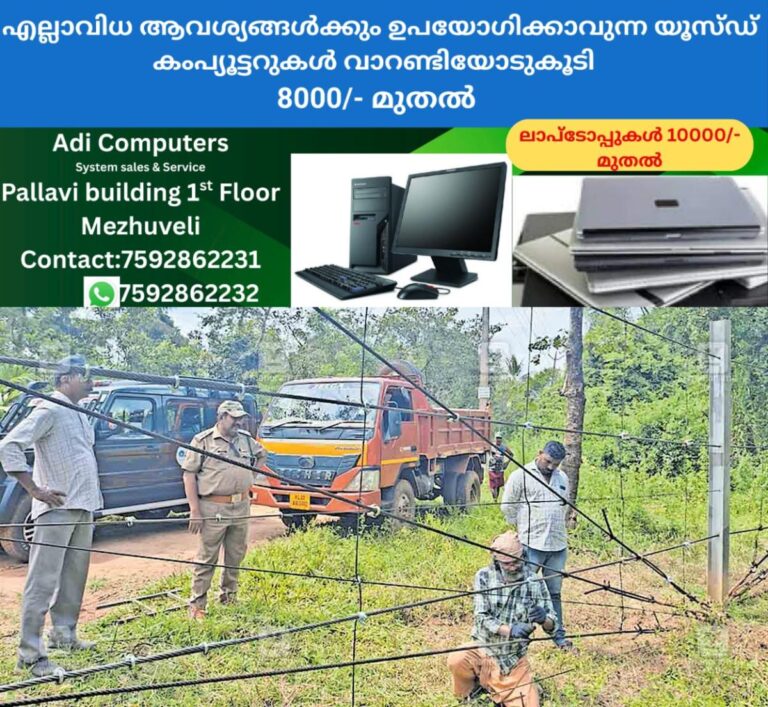 newskerala.net_1760646026_wayanad-mananthavady-wild-elephant-attack-3