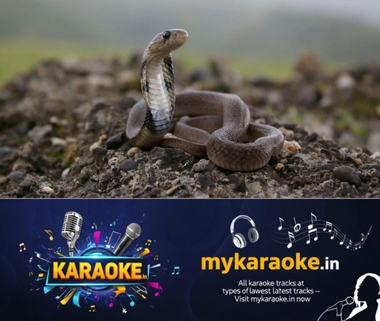 newskerala.net_1760670147_eight-year-old-boy-bites-cobra-snake-to-death-in-chhattisgarh
