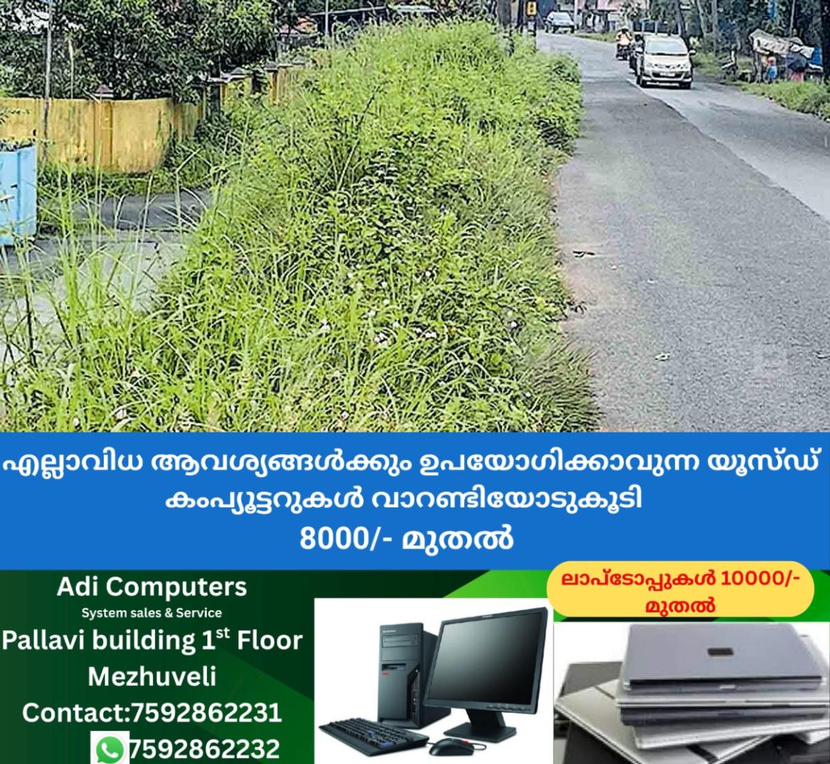 newskerala.net_1760699404_alappuzha-overgrown-vegetation-ittynair-kadavu-bridge-mannar