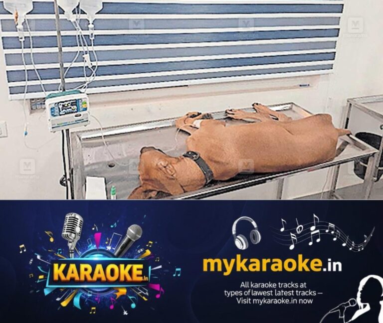 newskerala.net_1760752463_dog-treatment