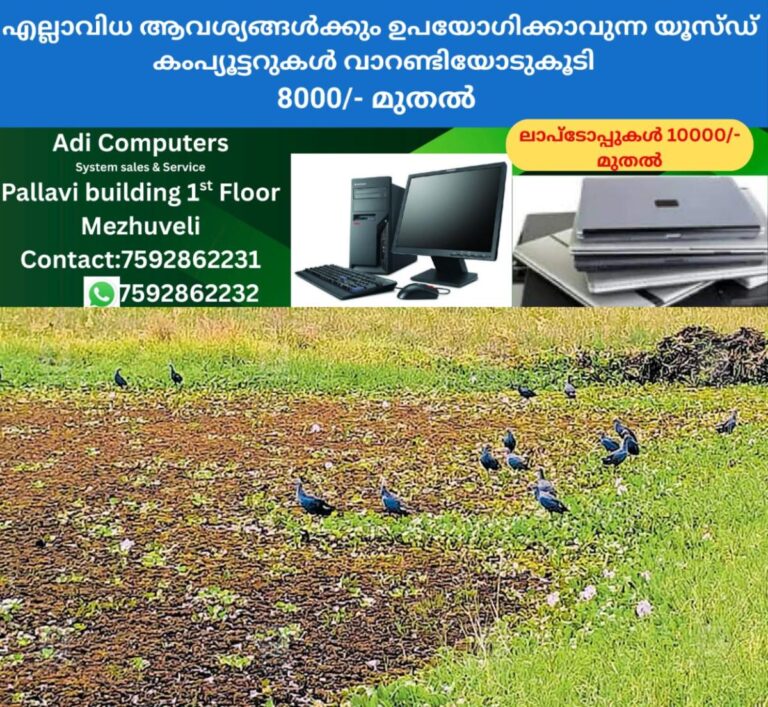 newskerala.net_1760753305_paddy-threat