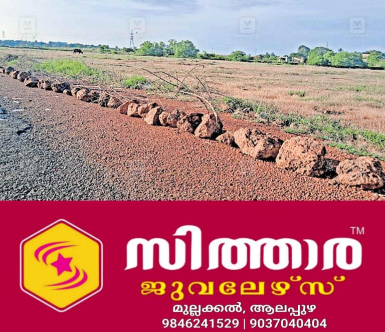 newskerala.net_1760757980_kannur-pazhangady-vehicle-encroachment