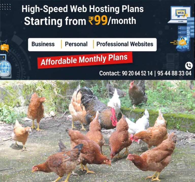 newskerala.net_1760762222_kerala-chicken