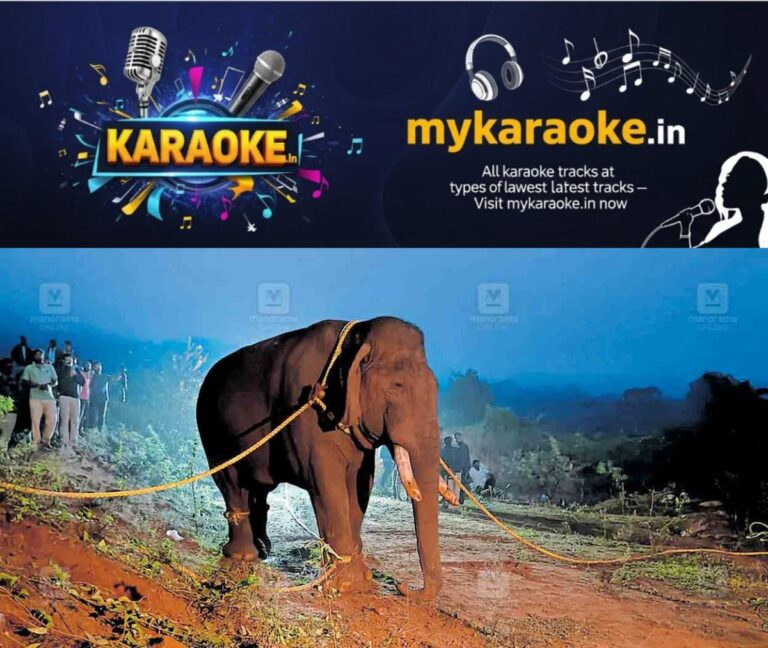 newskerala.net_1760766063_palakkad-wild-elephant-rolex