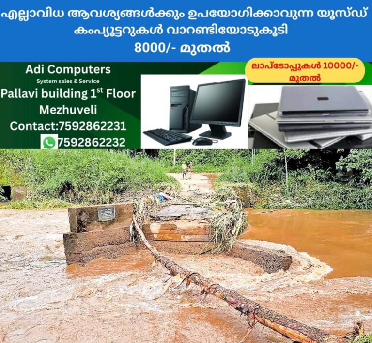 newskerala.net_1760822303_kattapana-rain-flood-7