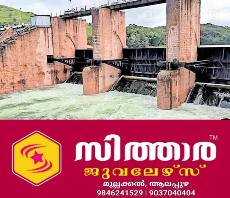 newskerala.net_1760824381_kumily-rain-issue-6