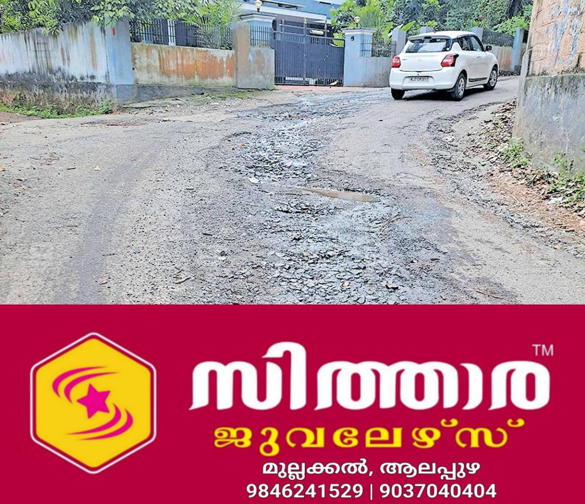 newskerala.net_1760840786_kovalam-road
