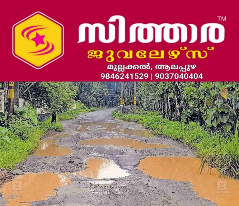 newskerala.net_1760841263_1760841147_road-pathole