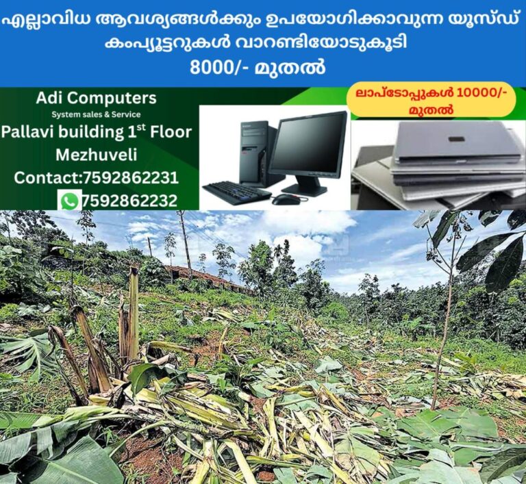 newskerala.net_1760847610_1760847485_wild-elephant-attack