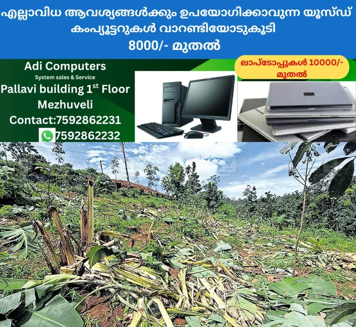 newskerala.net_1760847610_1760847485_wild-elephant-attack