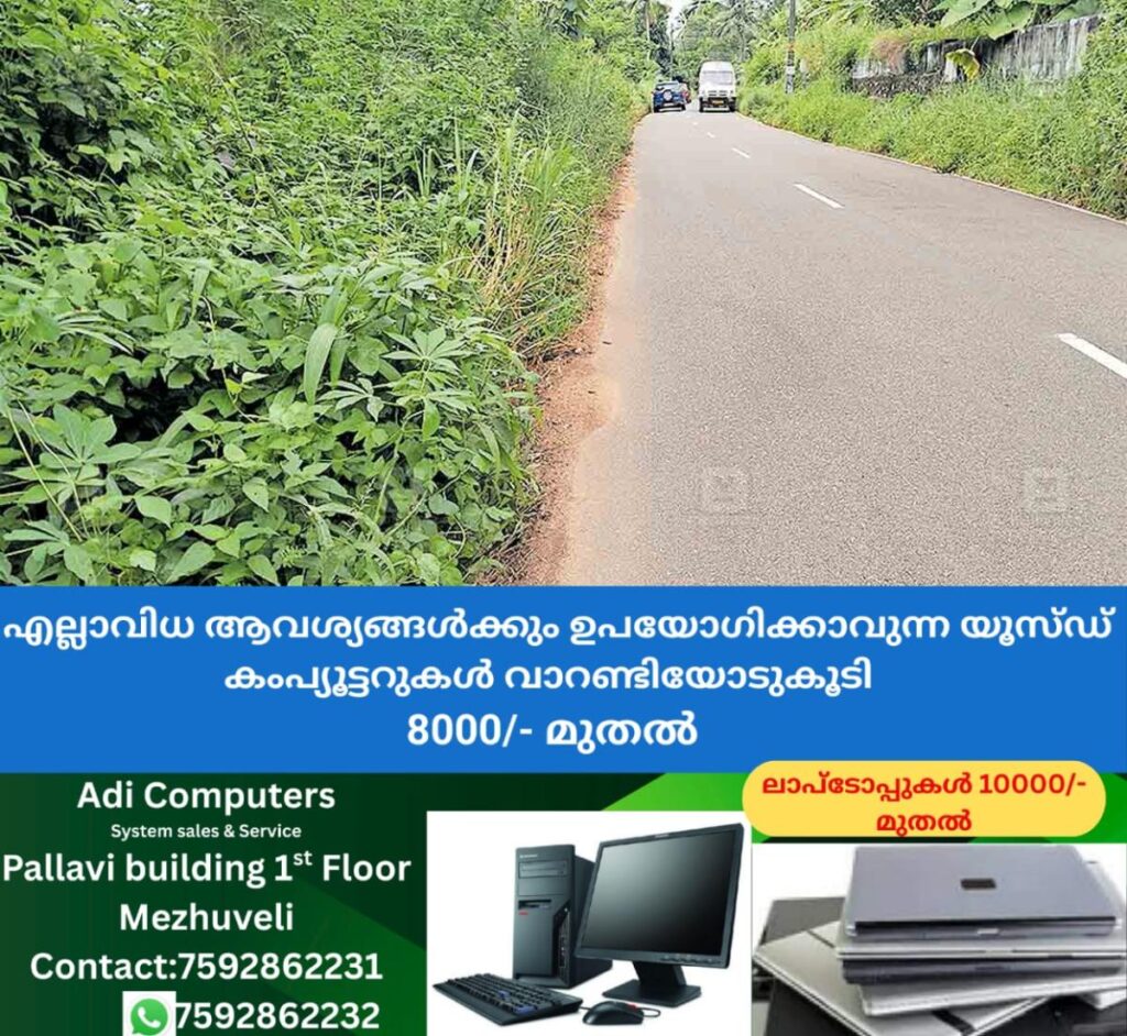 newskerala.net_1760858066_road-forest