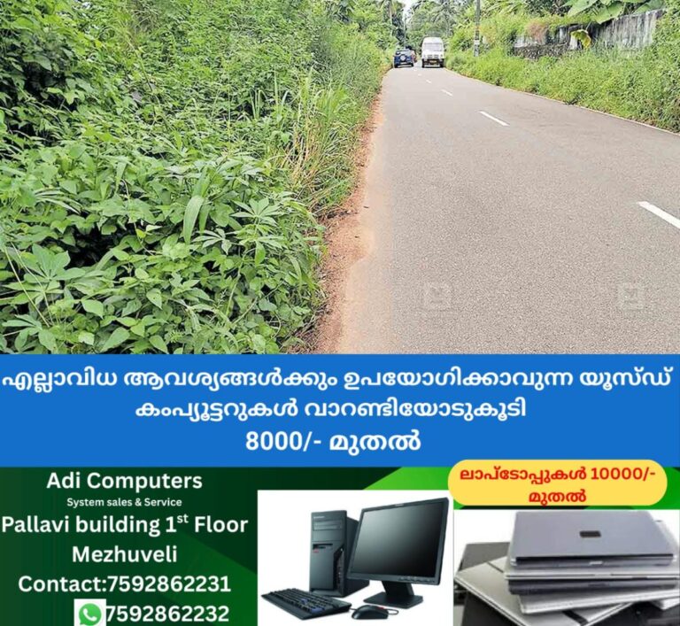 newskerala.net_1760858066_road-forest