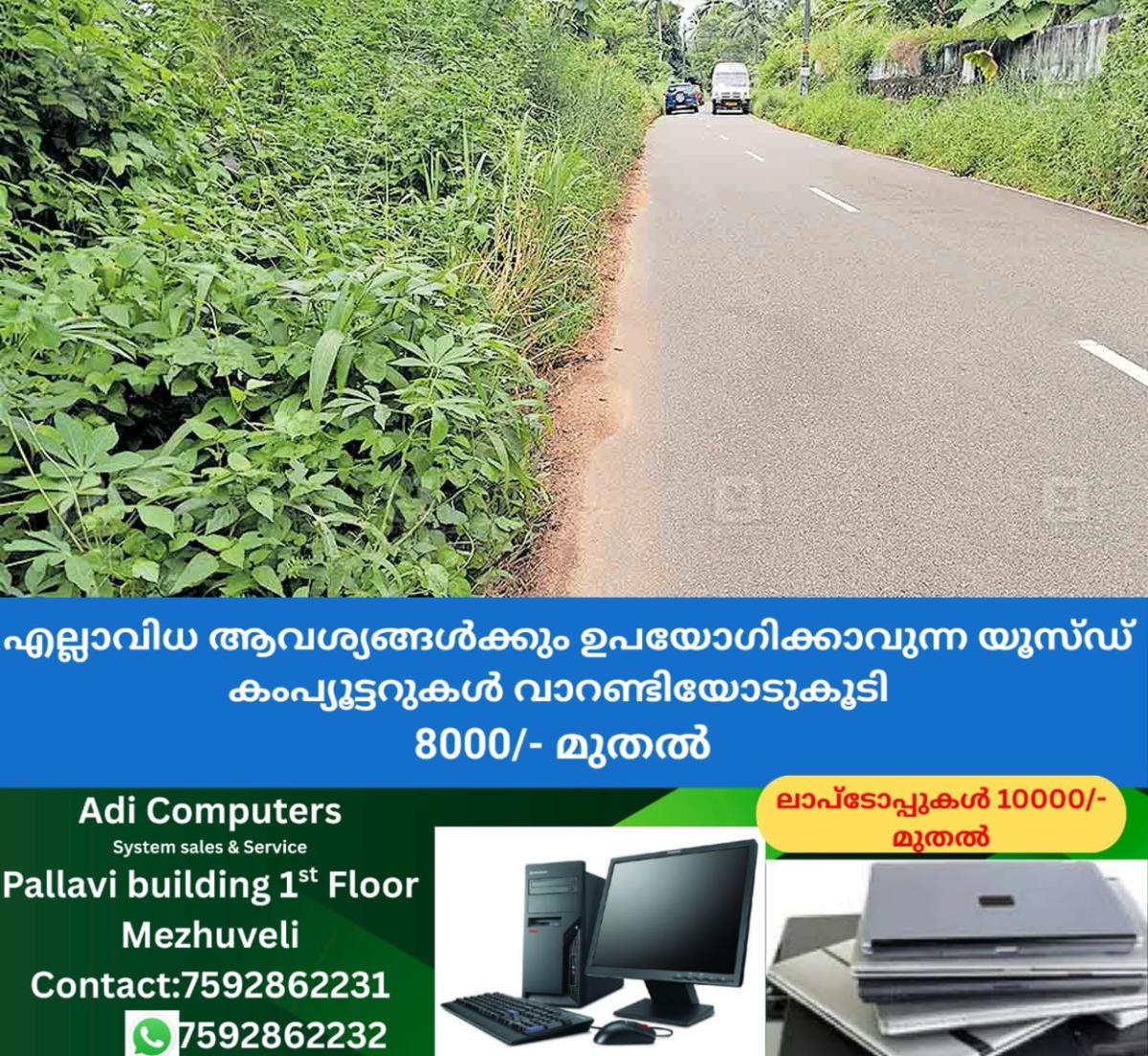 newskerala.net_1760858066_road-forest
