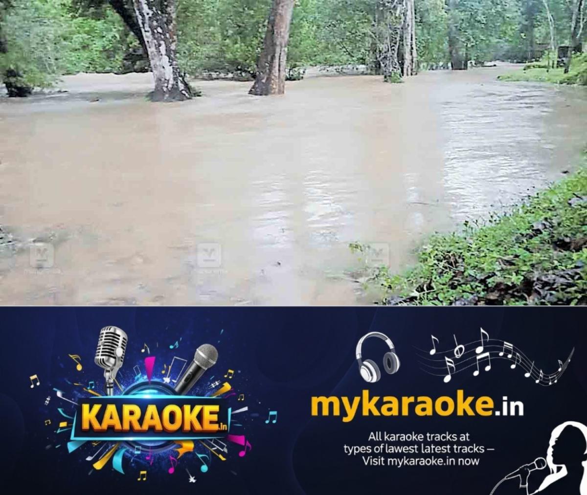 newskerala.net_1760864884_kozhikode-flood-chakkittpara
