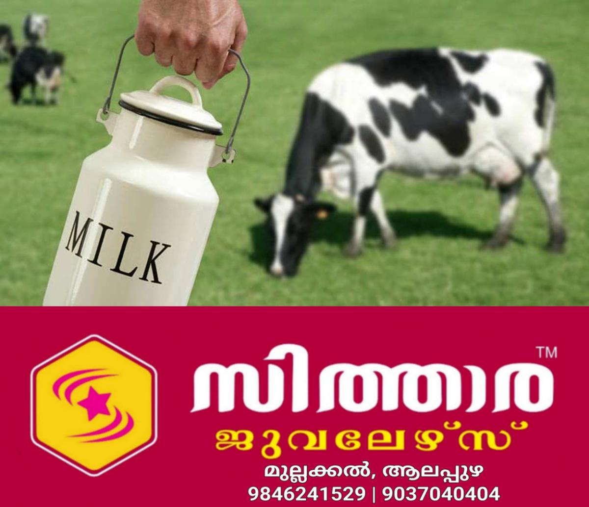 newskerala.net_1760937612_milk-cow-local-image