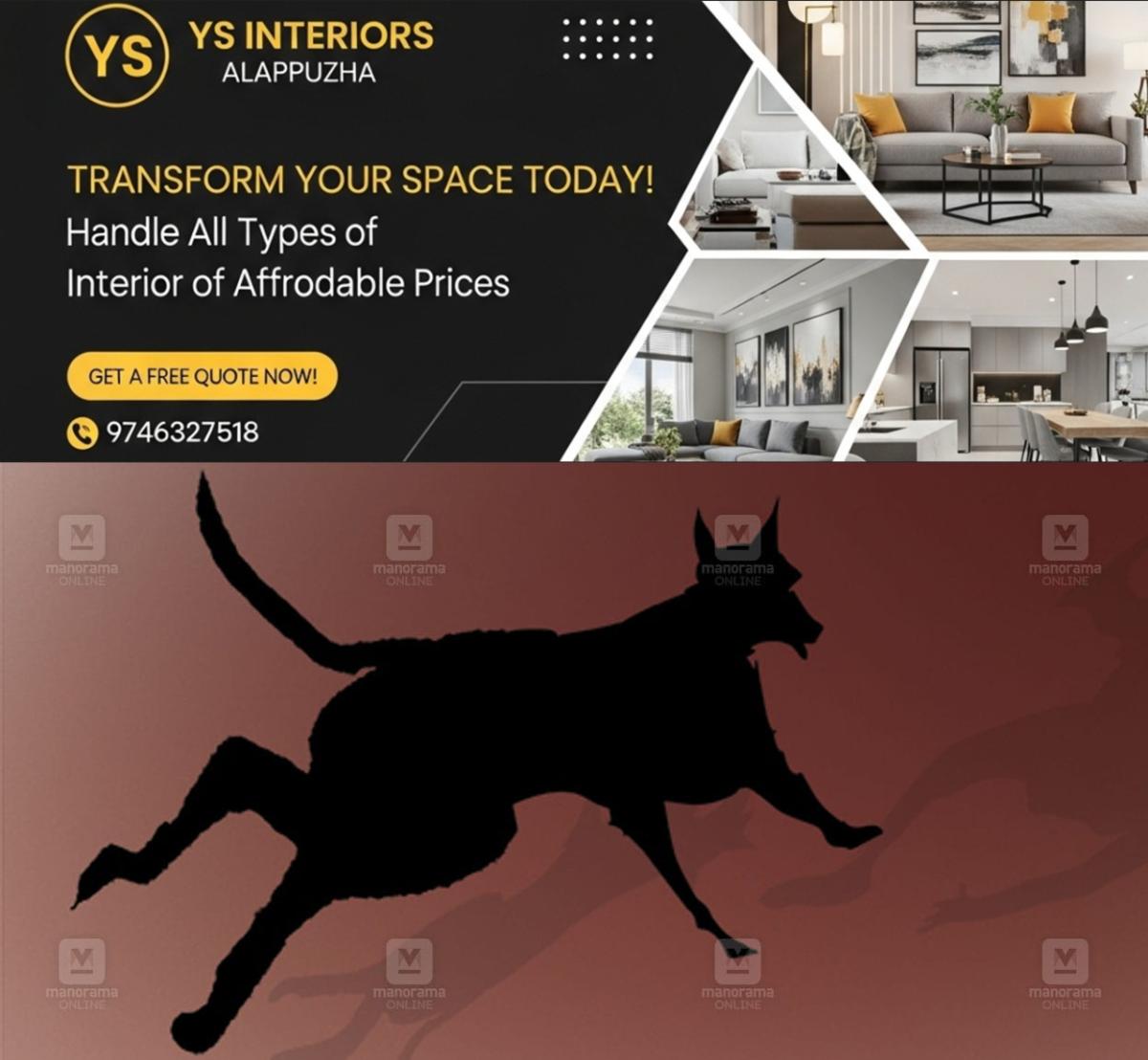 newskerala.net_1760950945_stray-dog-attack-sketch-1