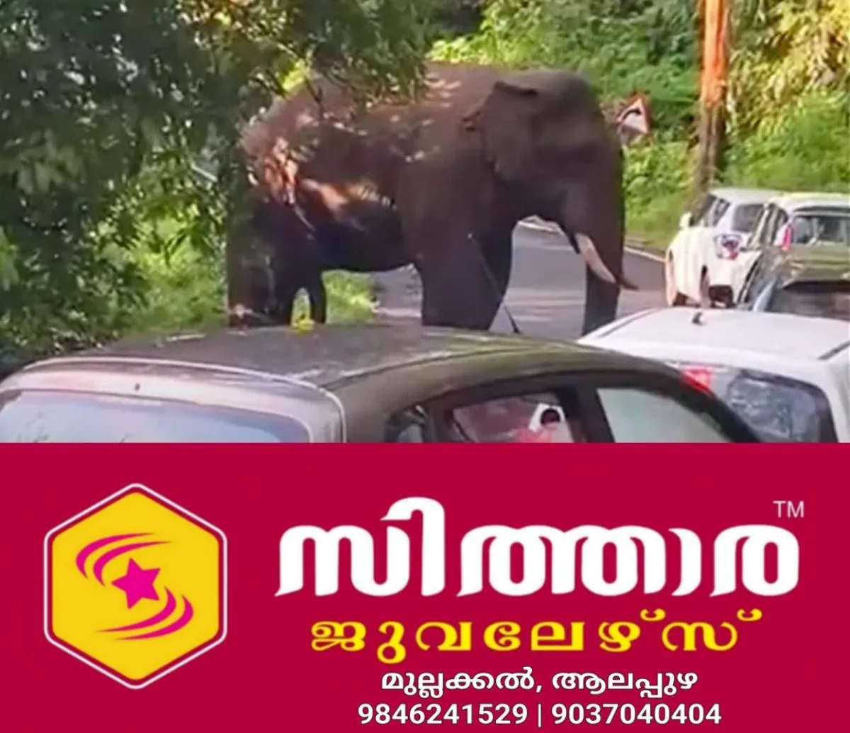 newskerala.net_1760952987_kabali