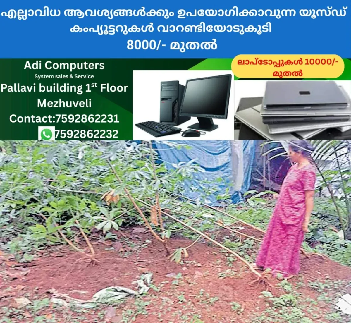 newskerala.net_1761020900_kasargod-wild-boar-attack