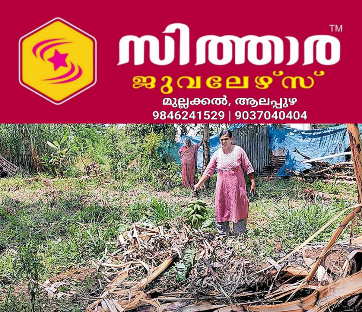 newskerala.net_1761026062_marayur-indhiranagar-elephant-attack