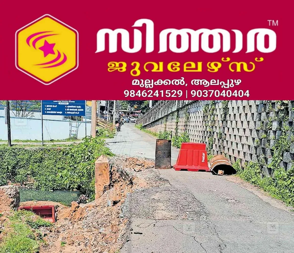 newskerala.net_1761032903_1761032777_damaged-service-road