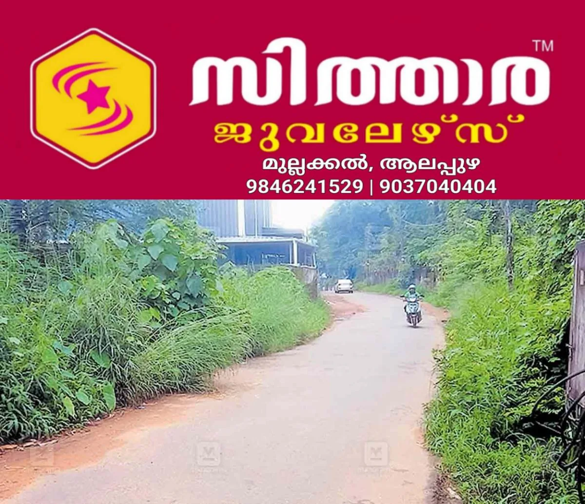 newskerala.net_1761100103_anagamaly-chambanoor-road