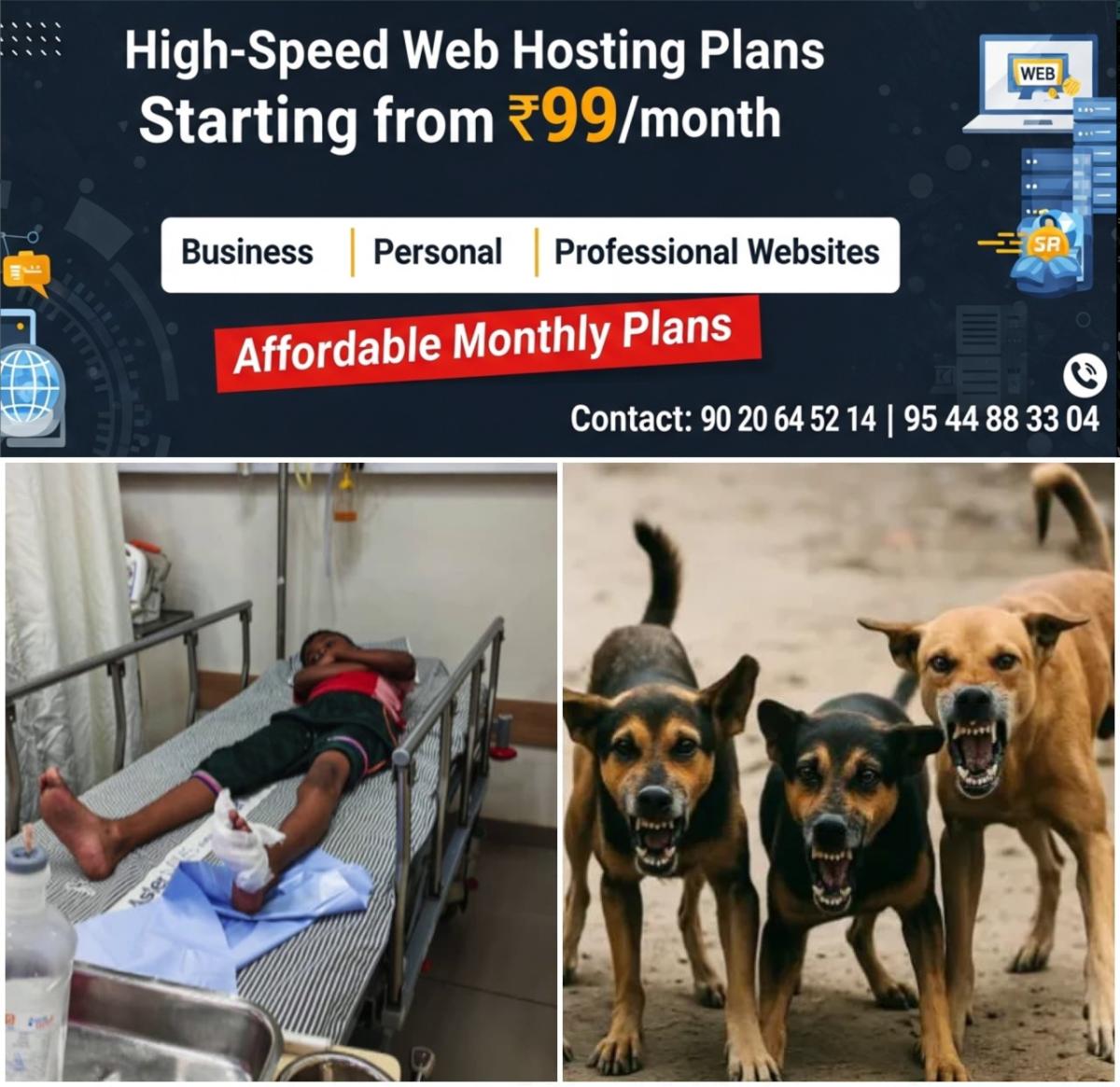 newskerala.net_1761101061_w-1280h-720format-jpgimgid-01k84vpfg57g5a519bs3h8s42kimgname-stray-dog-1761099857413