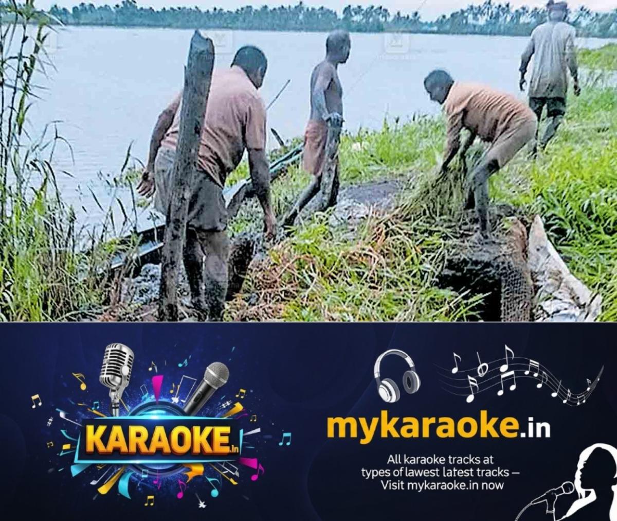 newskerala.net_1761116536_bund-damage